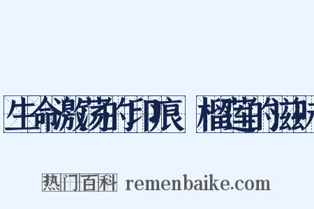 生命激荡的印痕·榴莲的滋味是什么意思的图片